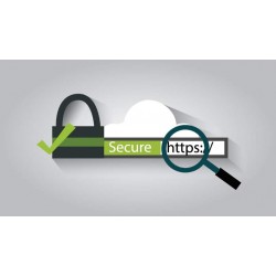 Κατοχύρωση domain name